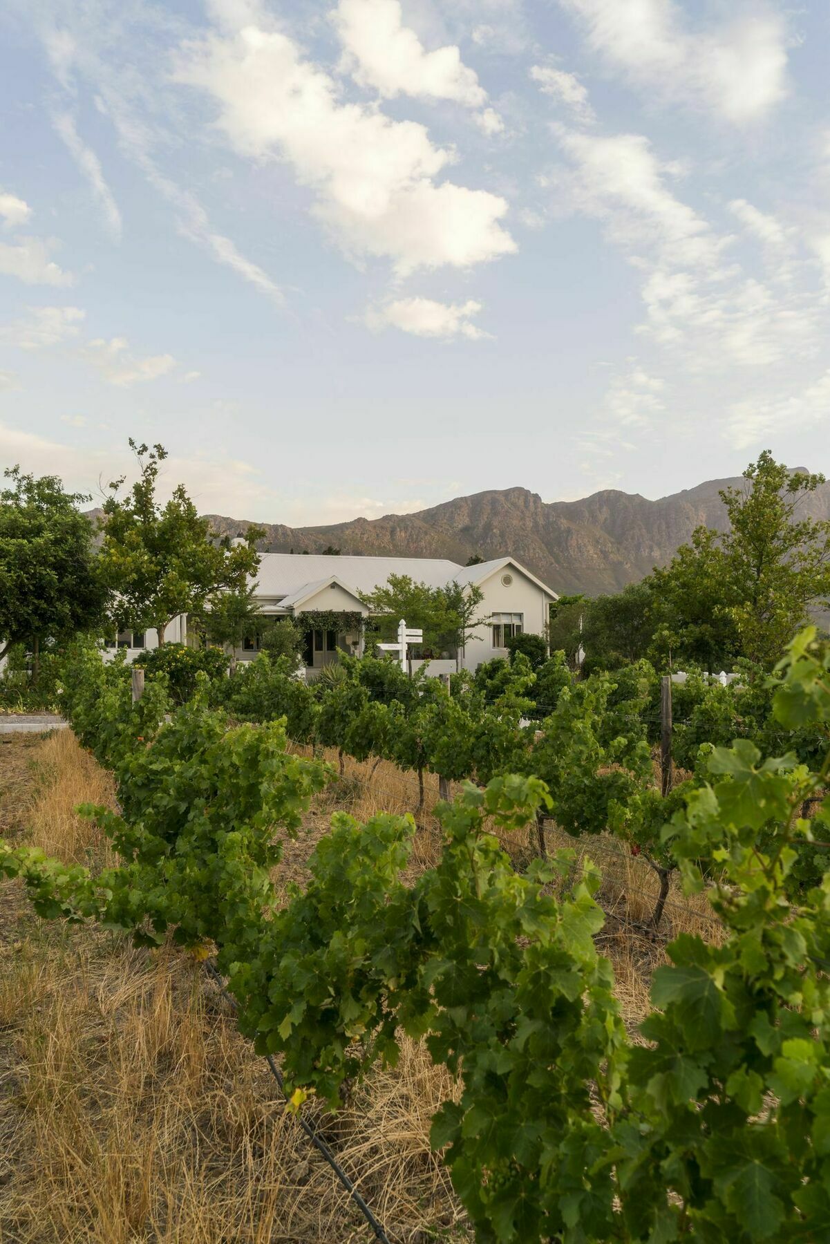 Hotel Cape Vue Country House Franschhoek Exterior foto